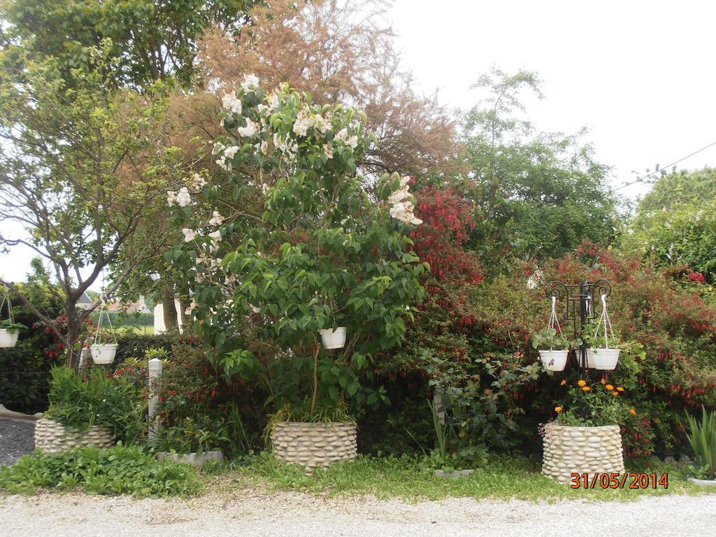 Les Galets Apartment Tracy-sur-Mer Екстериор снимка